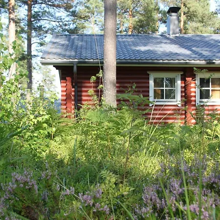 Pankkotupa 16-b * Punkaharju