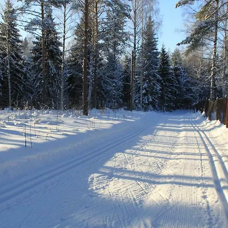 Vakantiehuis Pankkotupa 16-b *
