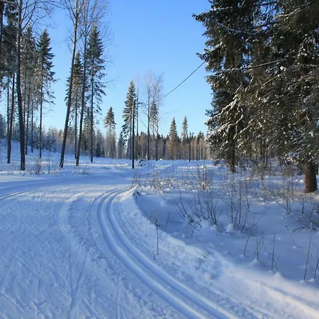 Vakantiehuis Pankkotupa 16-b