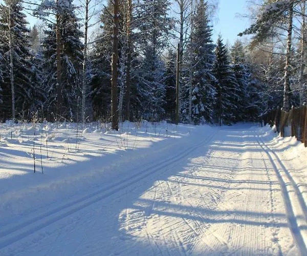 펜션 Pankkotupa 16-b *