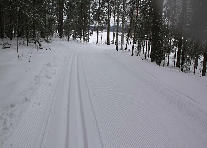 Pankkotupa 16-b 펜션