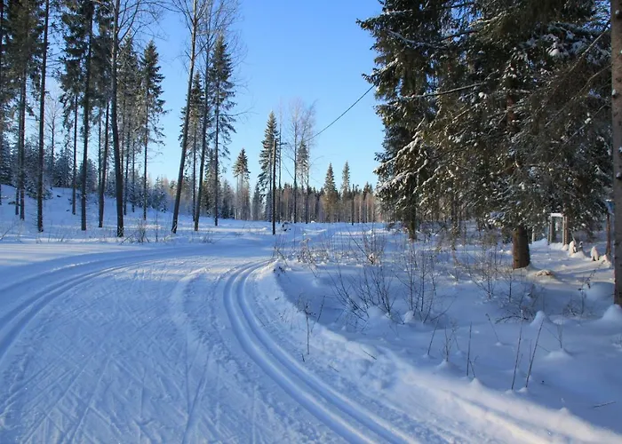 펜션 Pankkotupa 16-b