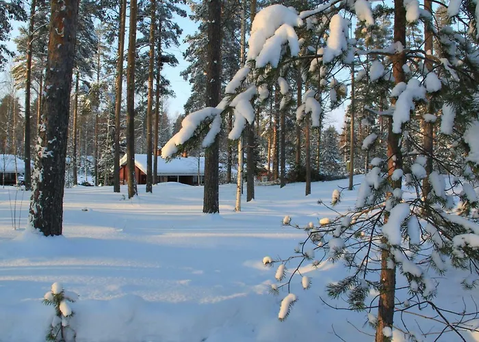 Pankkotupa 16-b 펜션