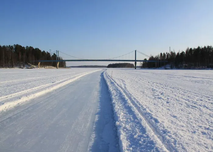 Pankkotupa 16-b 펜션